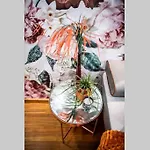 A&k Cozy Art 1 아파트 바르나