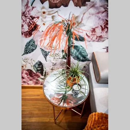 A&k Cozy Art 1 Διαμέρισμα Βάρνα