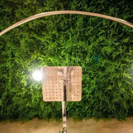 A&k Cozy Art 1 Varna